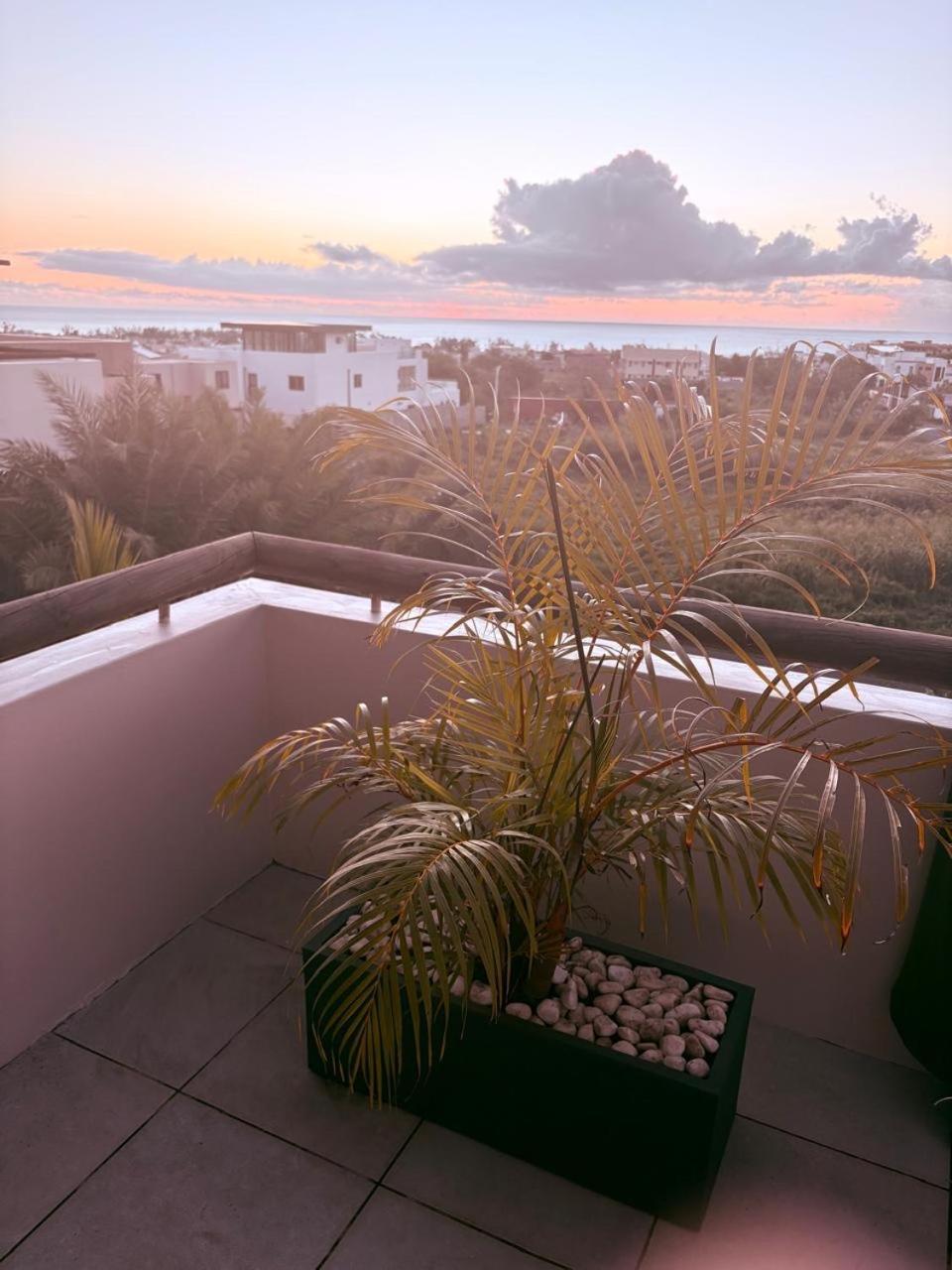 Stunning 3-Bedroom Apartment With Private Rooftop Terrace & Gorgeous Pool Flic-en-Flacq Exteriör bild